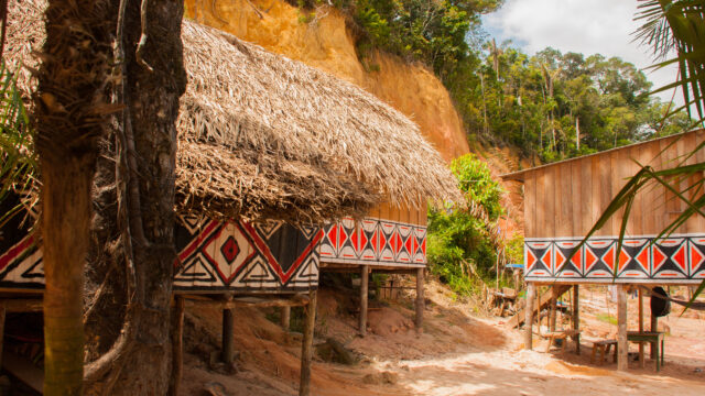 先住民の村 (アマゾナス州,ブラジル)