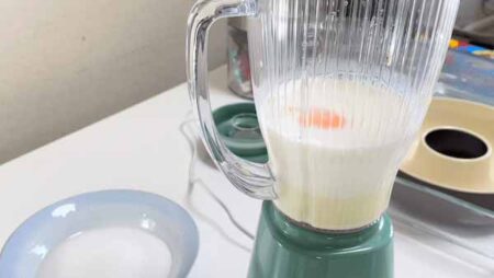 put milk, egg, condensed milk, sugar and vanilla essence to a blander 